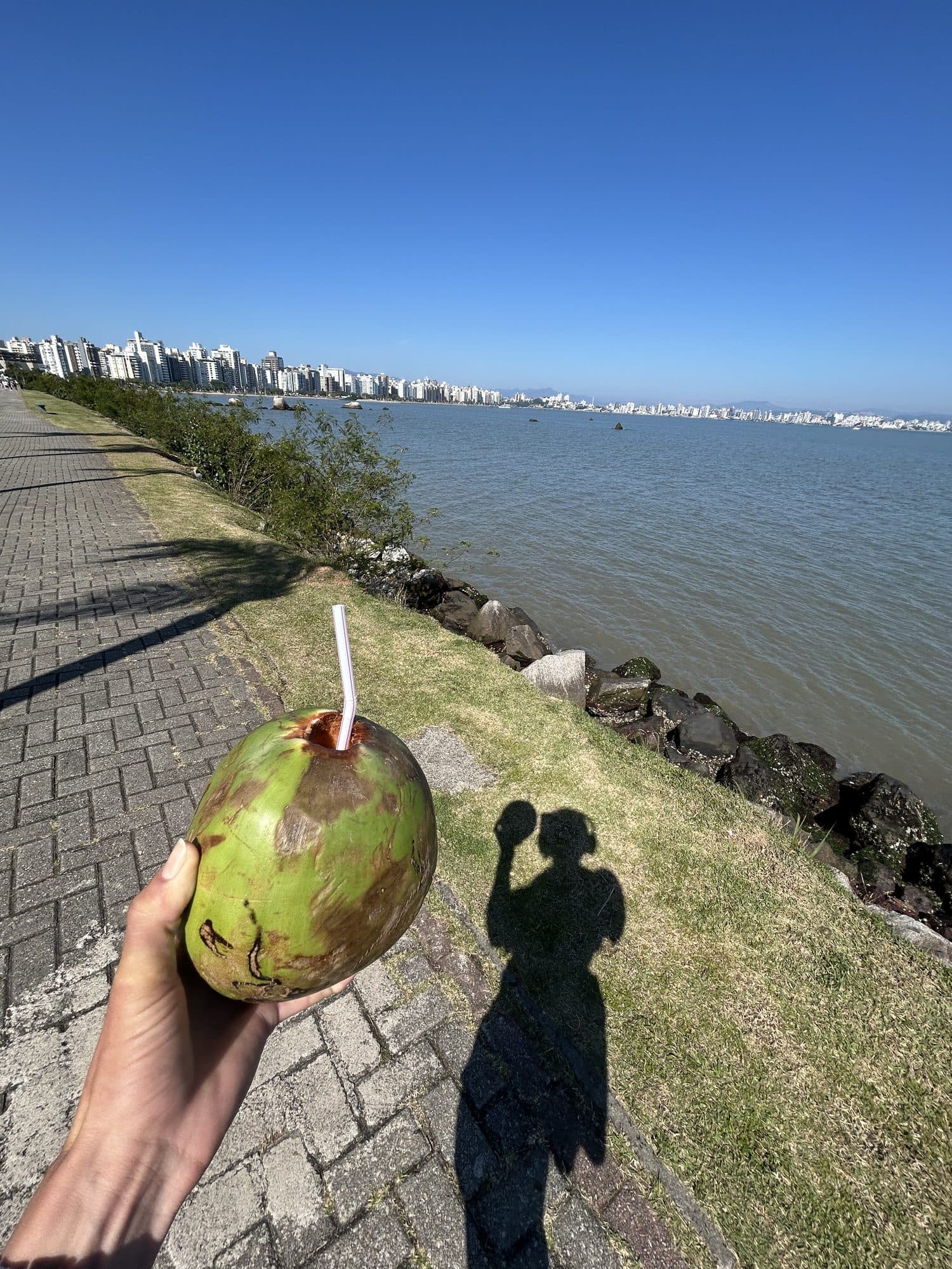 Una mano sostiene un coco verde en el paseo marítimo, con el mar y los edificios de la ciudad al fondo.