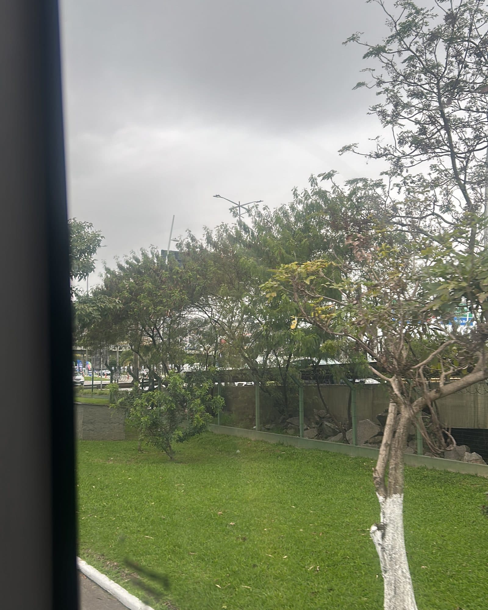 Vista desde la ventana del autobús: césped, árboles y cielo nublado.